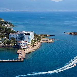 book here